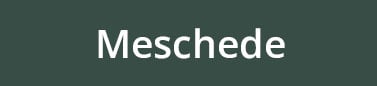 Meschede grün